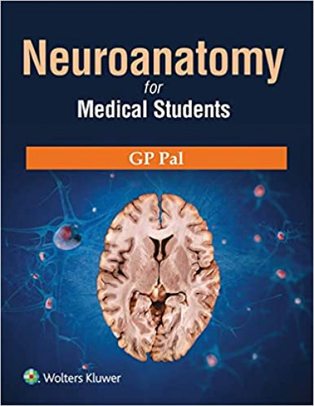 Neuroanatomy For Medical Students