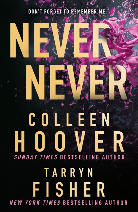 Never Never: TikTok made me buy it! The romantic thriller from BookTok sensation and Sunday Times bestselling author of It Ends with Us and New York Times bestselling author of The Wives