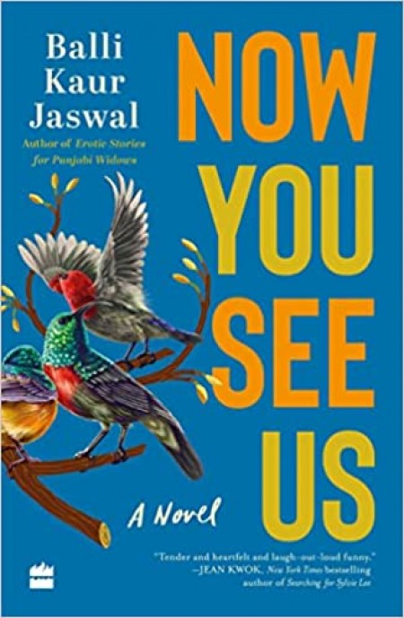 Now You See Us : The Novel